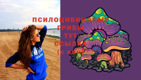 а пвп мука Бородино
