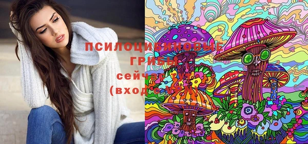 а пвп мука Бородино