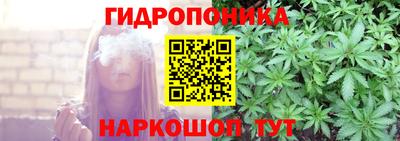 PSILOCYBIN Кинель