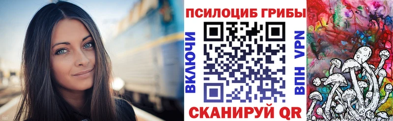 Псилоцибиновые грибы Magic Shrooms  Буйнакск 