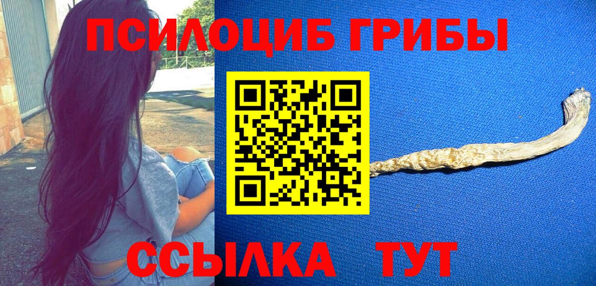 Псилоцибиновые грибы Cubensis  Буйнакск  Галлюциногенные грибы мицелий 
