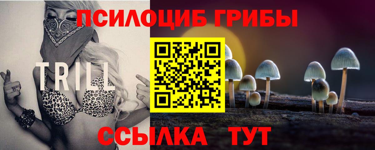 Галлюциногенные грибы мицелий Буйнакск