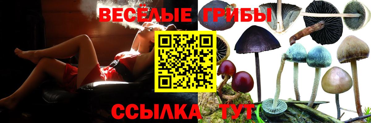 Псилоцибиновые грибы Psilocybine cubensis  Вход с VPN  Буйнакск  Галлюциногенные грибы Cubensis 