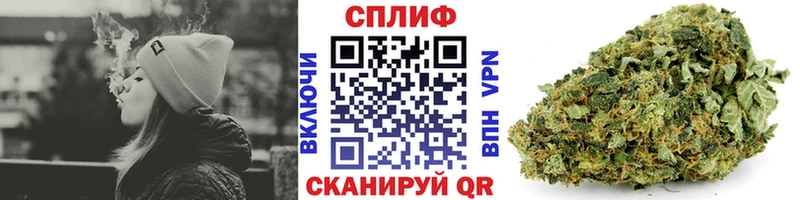 даркнет сайт  мега маркетплейс  Бошки Шишки тримм  Буйнакск 